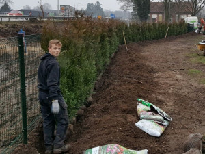 Coniferen laten planten